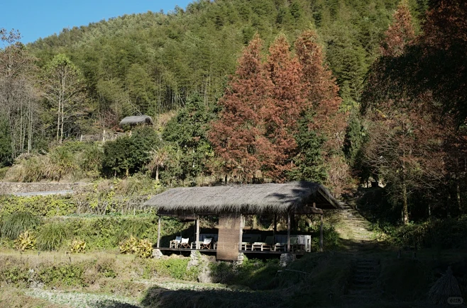 西坡·江山 犯傻发呆无所事事