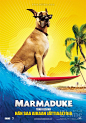 大丹麦狗马默杜克Marmaduke(2010)
一个幸福的家庭从城郊搬迁到一个新的环境之中，不过他们养的可爱的大丹犬却似乎不买主人的账，它要用自己的方式给新邻居们“搞搞震”。