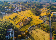 -那艺羞采集到美丽乡村