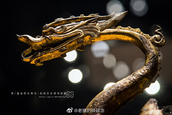 这是一组实拍博物馆文物中的龙。 红山文化玉龙/中国国家博物馆藏 秦代/青铜龙/陕西历史博物馆藏 吐蕃/龙纹金饰皮带/肃南县博物馆藏 西周早期 ...