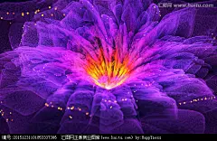 抽象花朵鲜花大花朵花朵墙贴紫色花浪漫花朵花朵装饰画花朵背景墙梦幻花朵花朵壁纸墙纸唯美花朵盛开绽放漂亮美丽花纹图案花