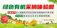 采摘园  - 源文件下载【酷图网】水果店,采摘园,有机水果,公司简介,水果采摘,葡萄,柿子,草莓,大棚,三农,农业,农产品,水果,农场海报,采摘园展板,绿色树叶背景,山楂,中油金帅桃,枣油桃,无花果,福秀桃,金冠,国桑,车厘子,纽约小油蟠,黄金蜜桃,维纳斯苹果,黑霸王杏,黄肉油桃,黑葡萄,巨峰葡萄,水晶油桃,白如玉桃,设计,宣传栏