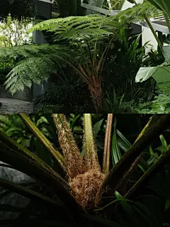 万宁景观别太离谱！_2_白落造园_来自小红书网页版