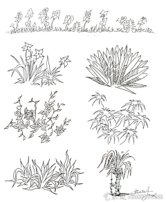 佳呦采集到植物