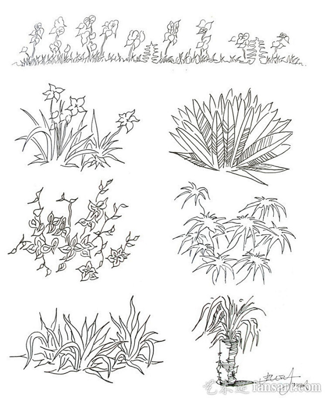 20种植物的手绘速写技法_素描风景