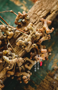 慢邮信箱📬采集到美食