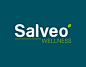 Salveo Group