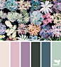 succulent hues  #color #palette #designseeds #seeds #seedscolor #succulent #succulents #peach #pink #turquoise #green #purple