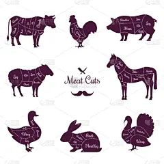 肉,知名动物,分离着色,牛排,部分,食品,猪肉,绵羊,阴谋