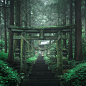 神社 森林 废土