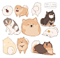 i choiced this illustration because it shows the different types and behavior a pomeranian has.