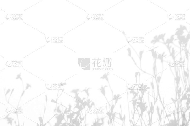 灰色的影子的花和草 