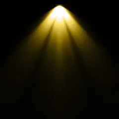 spotlight 101