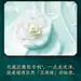 花西子玉容山茶养肤妆前乳隔离霜打底保湿补水控油遮瑕隐形毛孔-
