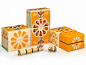 包装人设计联盟-包装设计网包装设计欣赏核心板块Orange Chu 橙子水果箱包装设计包装设计，包装设计欣赏，包装设计网 - 中国包装设计第一门户