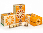 Orange Chu 橙子包装设计