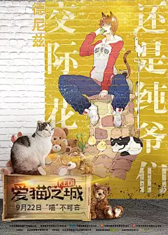 爱猫之城 Kedi 海报