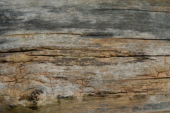 木头texture-6