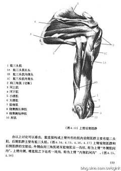 ZHANG晋彬采集到人体