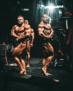 古典健美～克里斯壁纸