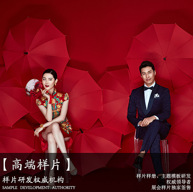2017年展会最新婚纱影楼样照 高端韩式...