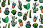 墨西哥仙人掌图案黑白包装图案装饰图案下载Mexican Cactus Patterns-设计口袋