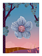 Pavot Rose胸针，白K金，蓝色和粉红色蓝宝石。Flowers系列，Van Cleef & Arpels梵克雅宝。