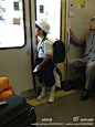 到日本你会突然感悟到什么是正常社会。一个正常社会应该是可以让孩子们独自安全的旅行！这是在日本的列车上，从神户到大阪，一个小学生自己背包旅行。。。在中国，你看到过这样的场景吗，你敢让你的小孩独自旅行吗？