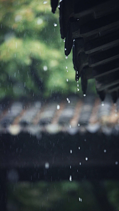 尔雅·采集到■ 【一捧°  雨声】