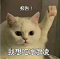 报告表情包又来新的了​​​