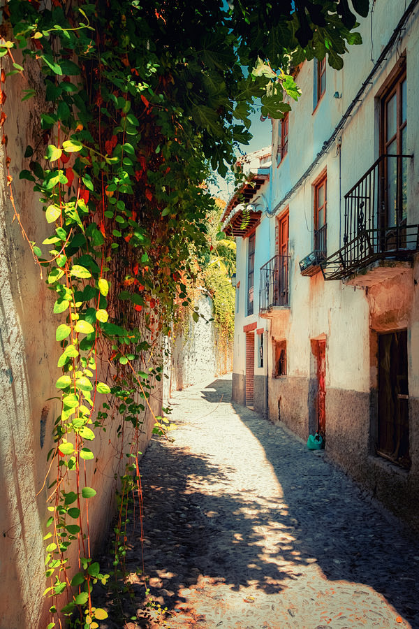 Summer in Granada by...