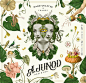 A. Junod Absinthe : Handcrafted in the birthplace of absinthe, A. Junod is produced at Les Fils d'Emile Pernot distillery, near the swiss border. This brand already existed prior to the ban in 1914, I was commissioned to design its new image.