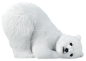大熊