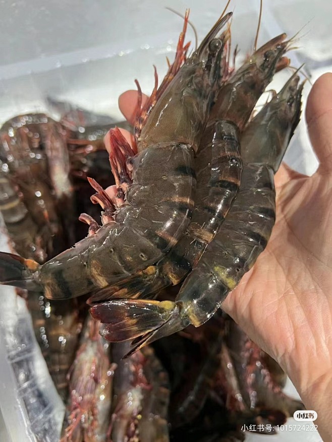 来自分享