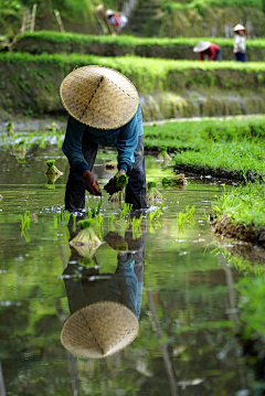 hellobarbara22采集到人文摄影