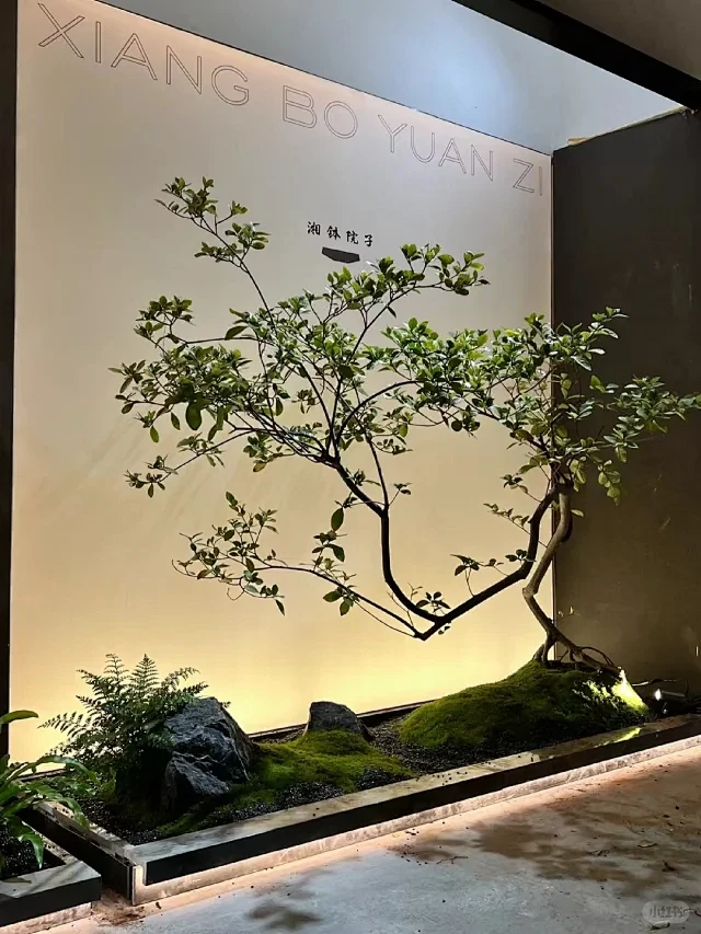 室内空间造景 - 小红书-花瓣网