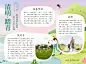 清明节手抄报