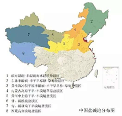 葵至文化传媒采集到平面设计