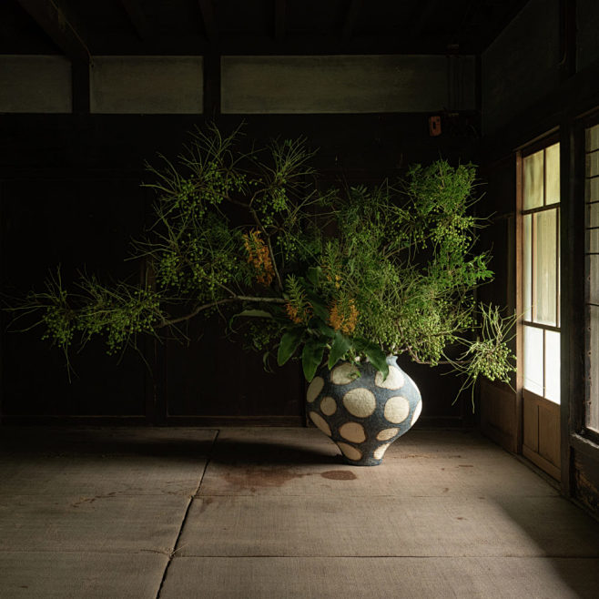 亜熱帯植物 | WORKS | BOTA...