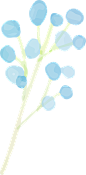 日式水彩清新花卉圈请柬植物春夏文本框气泡框电子手账免抠PS素材 (43)