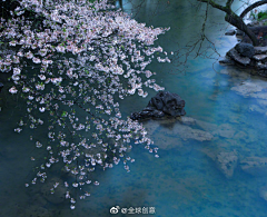 妮可可采集到摄影 风景