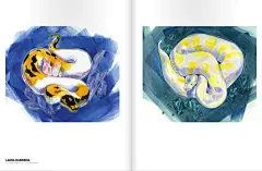 插画 | 康石石浅谈如何创作一本打动考官的插画作品集 : 本来在精华|康石石浅谈传统珠宝“瓶颈”与当代珠宝“可能性”预告了4月中旬推出《Jewelry Design|康石石浅谈如何创作一本打动考官的作品集》，可是想了解插画作品集创作方法的同学们好像热情更高一些，那康石石今…