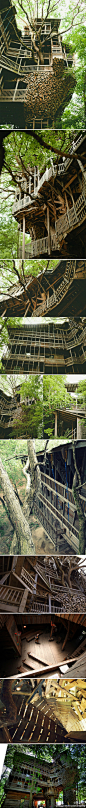 这建筑名叫 Minister’s Treehouse (牧师的树屋)。九零年代初庭院设计师 Horace Burgess 在田纳西包了块林地，林地内一棵大树吸引了他的目光，引发他决定建造世界上最大的树屋。2004年树屋竣工，建筑高30米，面积超过900平方米，成为了当地的观光胜地。