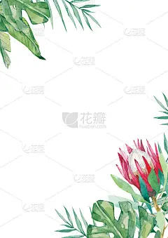 水彩花卉框架卡。夏季插图邀请，婚礼