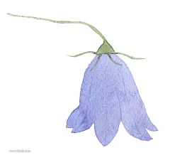 森林水彩DIY手绘元素