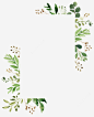 水彩绿色植物边框 花纹 花纹边框 装饰物 装饰边框 边框 元素 免抠png 设计图片 免费下载 页面网页 平面电商 创意素材