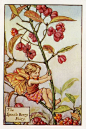 Cicely Mary Barker (167)