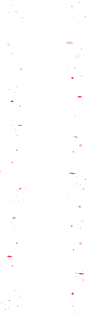 花纹/祥云
