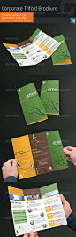 Corporate Trifold Brochure V20 - Corporate Brochures