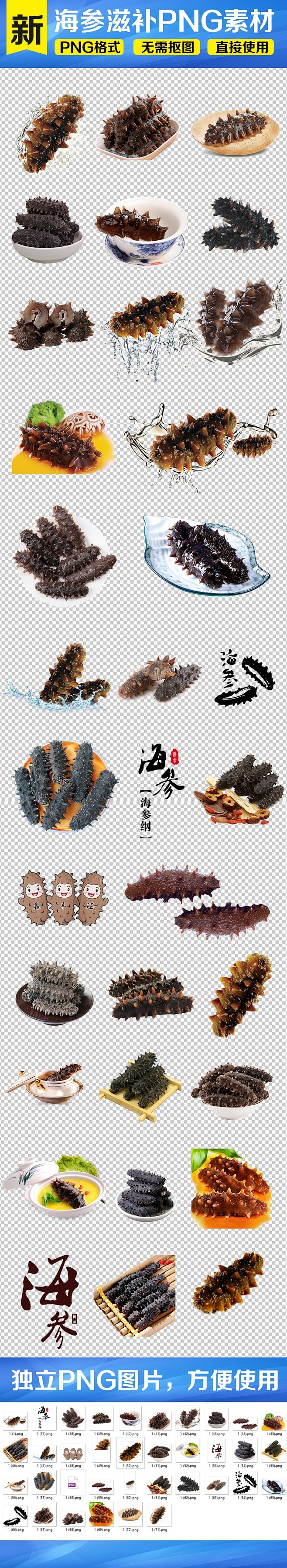 滋补海参海参海鲜食材海报PNG素材